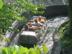 Copy-of-dollywood-labor-day-9-3-07-012_72x54_c