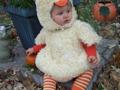 Chicken2_120x90_c