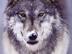 Image009_72x54_c