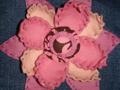 Dsc01588_120x90_c