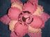 Dsc01588_72x54_c