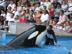 Img-1269_72x54_c