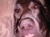 Img00419_72x54_c